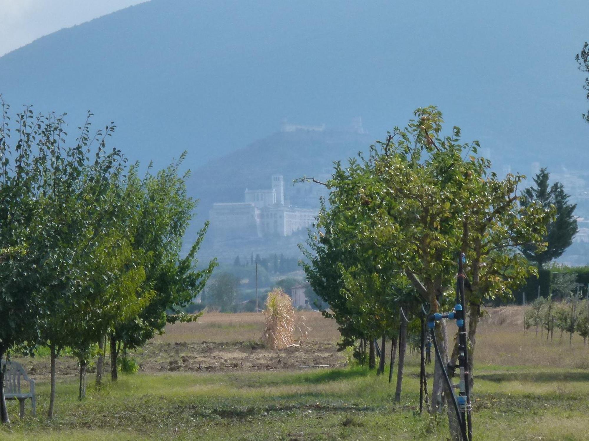 Campiglione Hotel Assisi Bagian luar foto